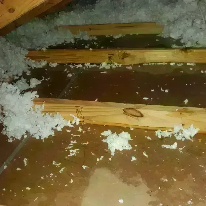 Attic Water Damage in Stamford, NY