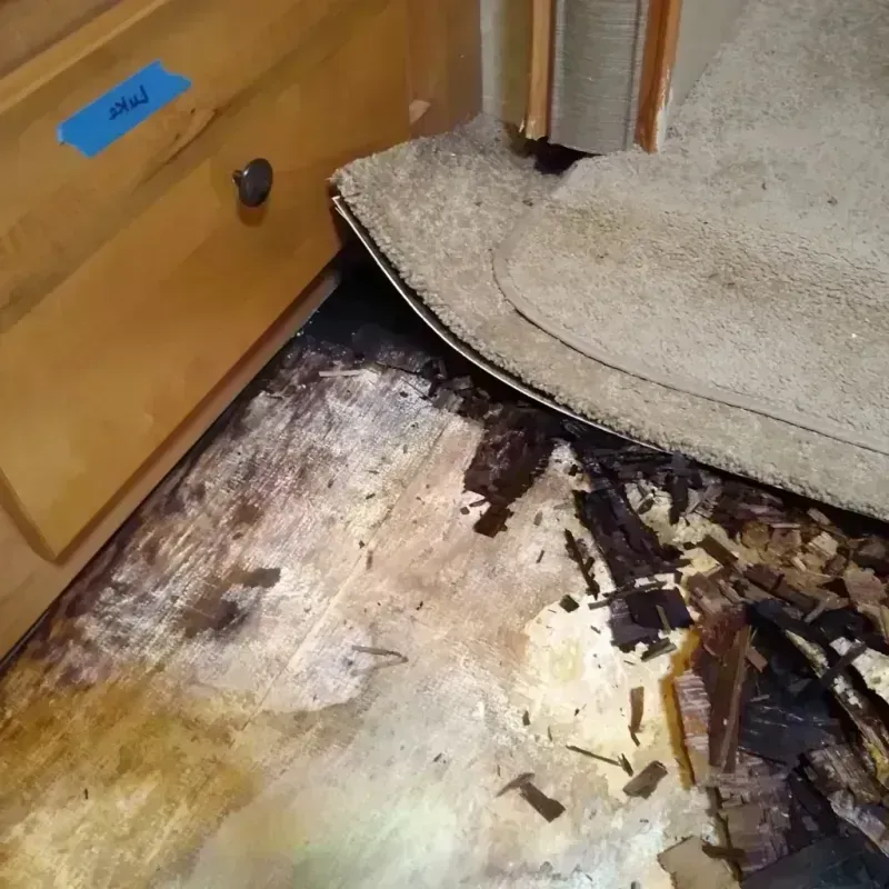 Best Wood Floor Water Damage Service in Stamford, NY